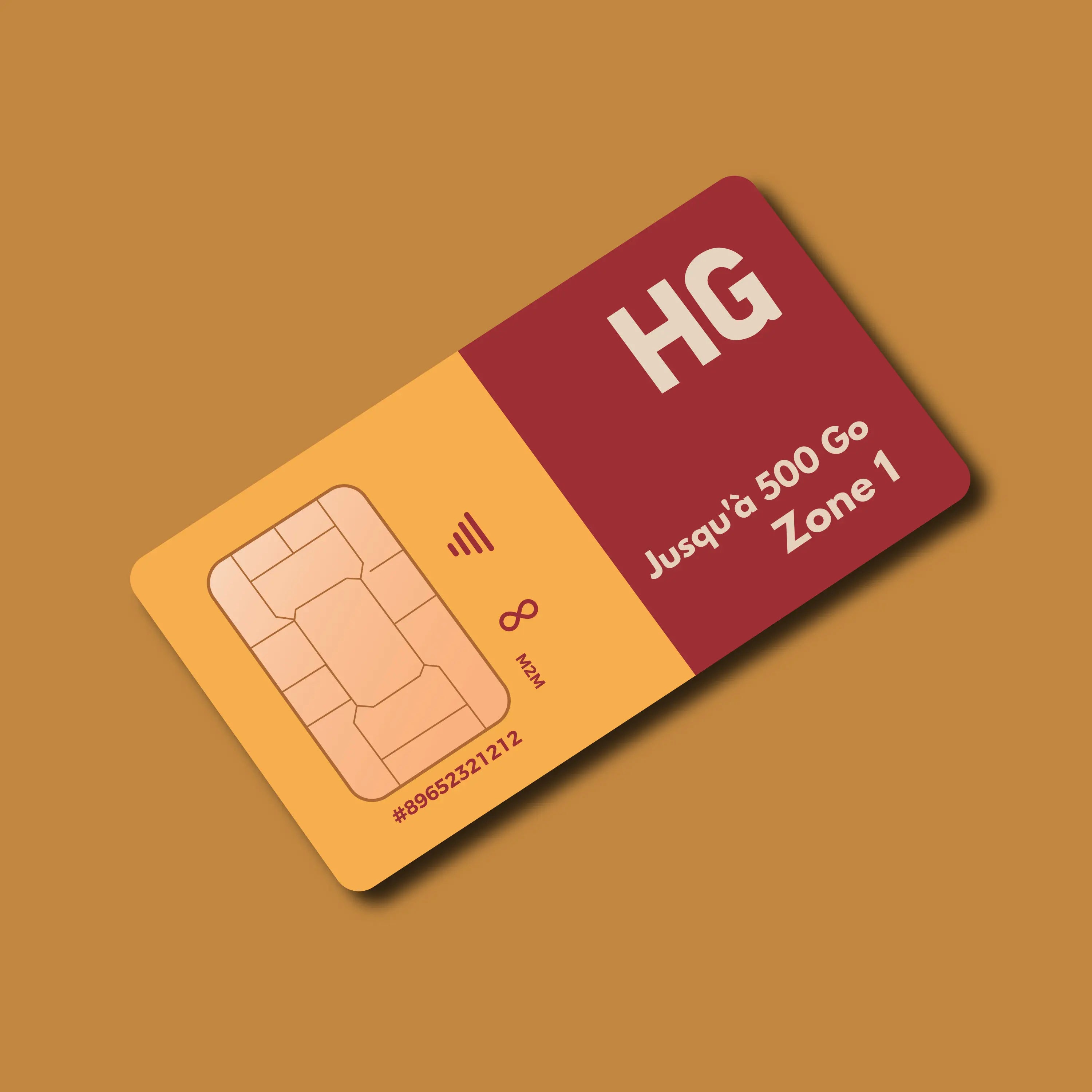Carte SIM HIVEGLOBA HG rouge et orange, Zone 1, jusqu'à 500 Go M2M MONDIAL.