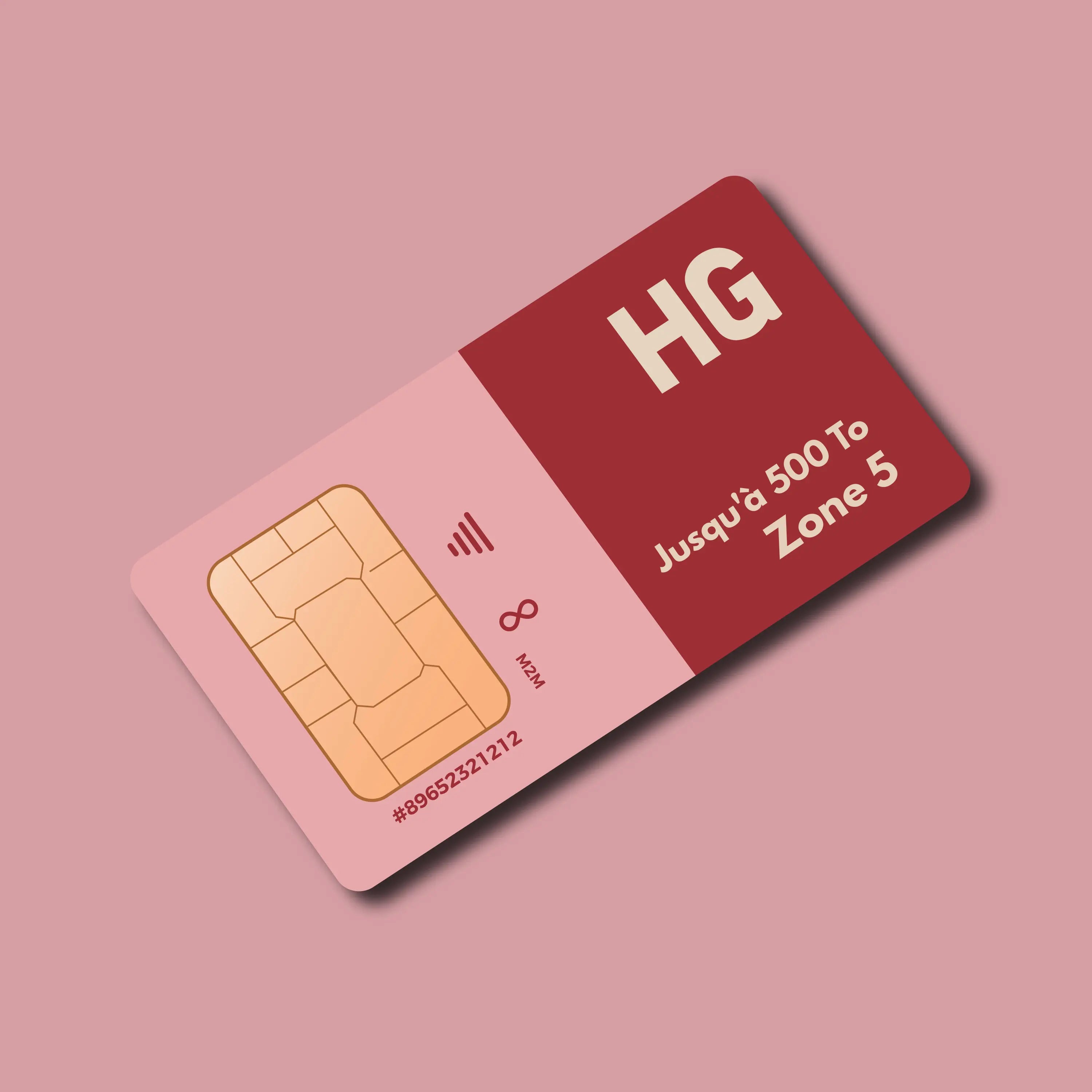 Carte SIM HIVEGLOBA HG rouge et rose avec puce, logo GROUPE INVICTUS, M2M, MONDIAL.