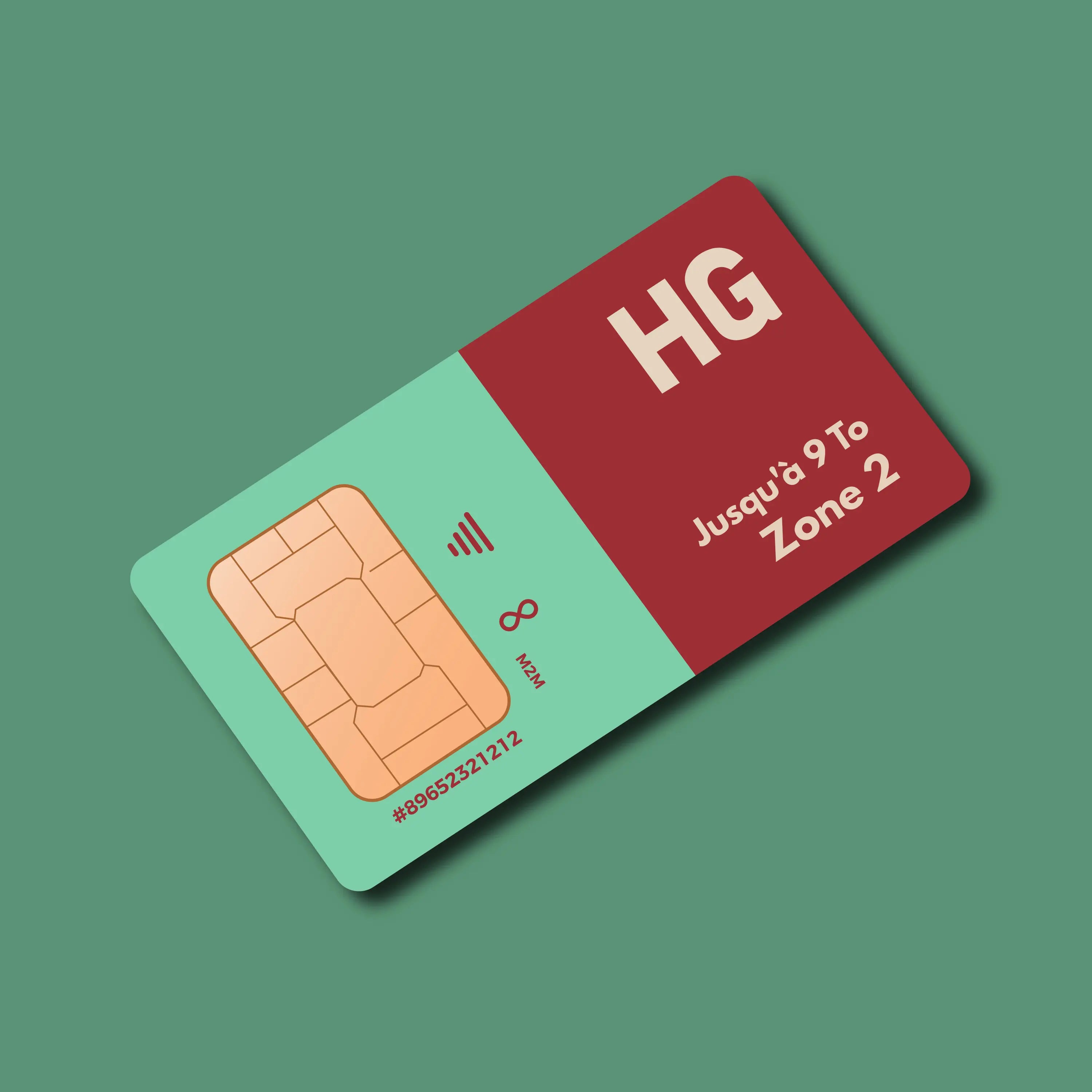 Carte SIM rouge et turquoise HIVEGLOBA HG M2M GROUPE INVICTUS MONDIAL Zone 2 9 To.