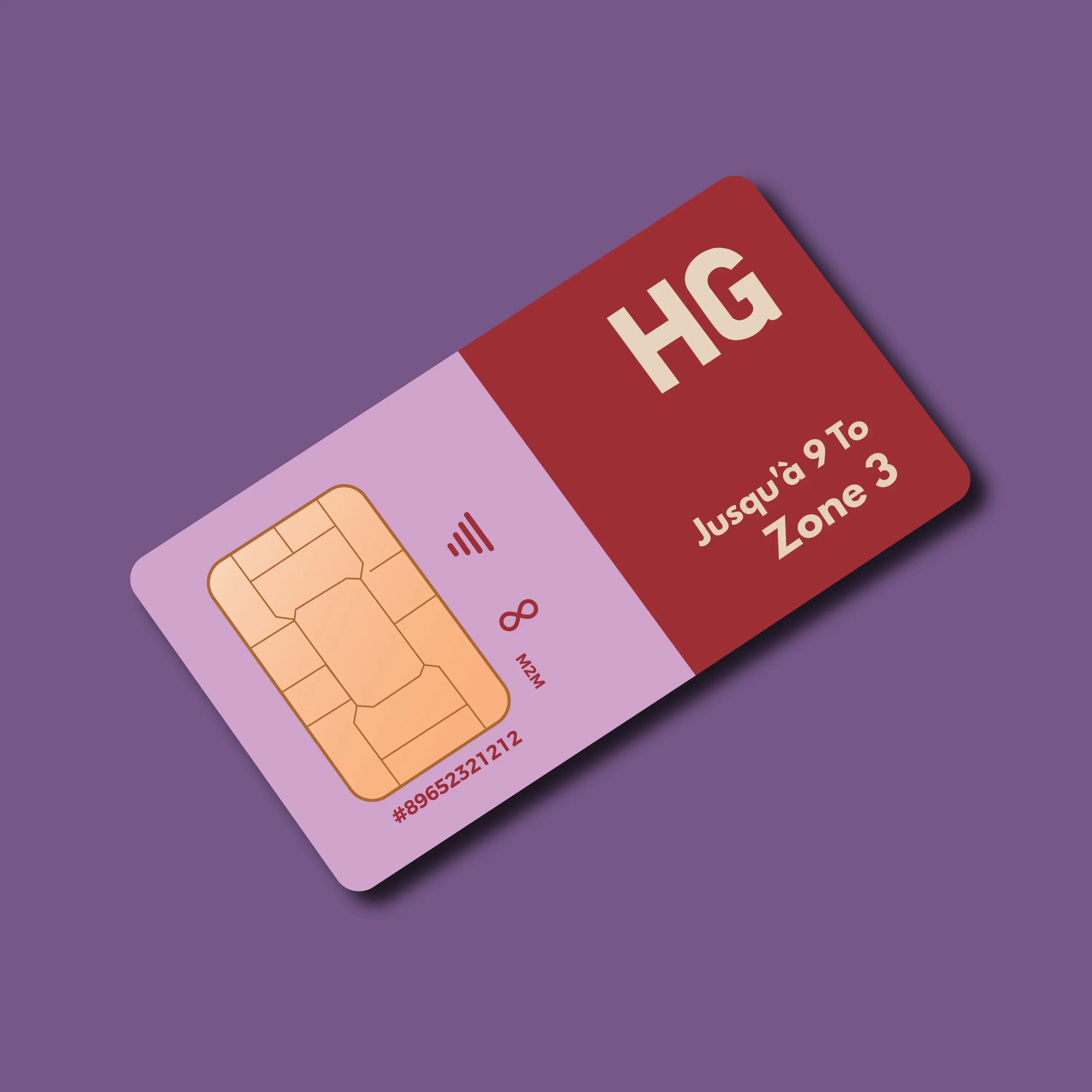 Carte SIM HIVEGLOBA HG rouge et rose, capacité jusqu’à 9 To, Zone 3, M2M GROUPE INVICTUS MONDIAL.